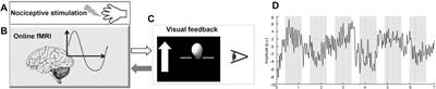 Cortical networks underlying successful control of nociceptive processing using real-time fMRI